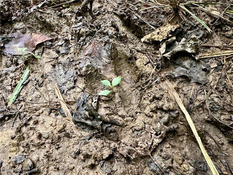 325 N Fork Road, New Matamoras, OH 45767 Photo 24