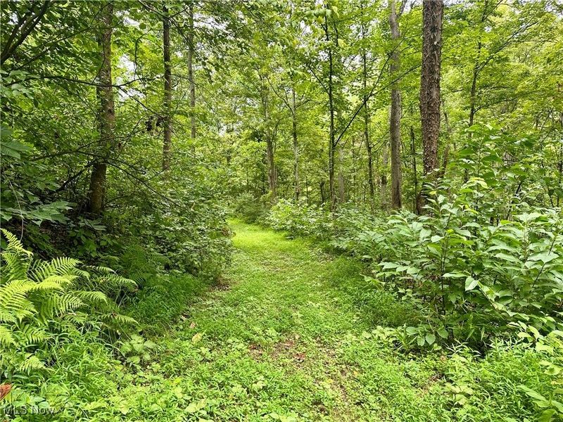 325 N Fork Road, New Matamoras, OH 45767 Photo 25