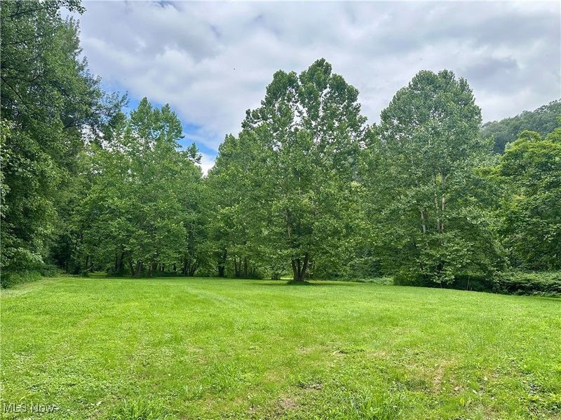 325 N Fork Road, New Matamoras, OH 45767 Photo 29