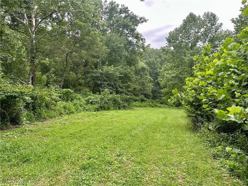 325 N Fork Road, New Matamoras, OH 45767 Photo 30