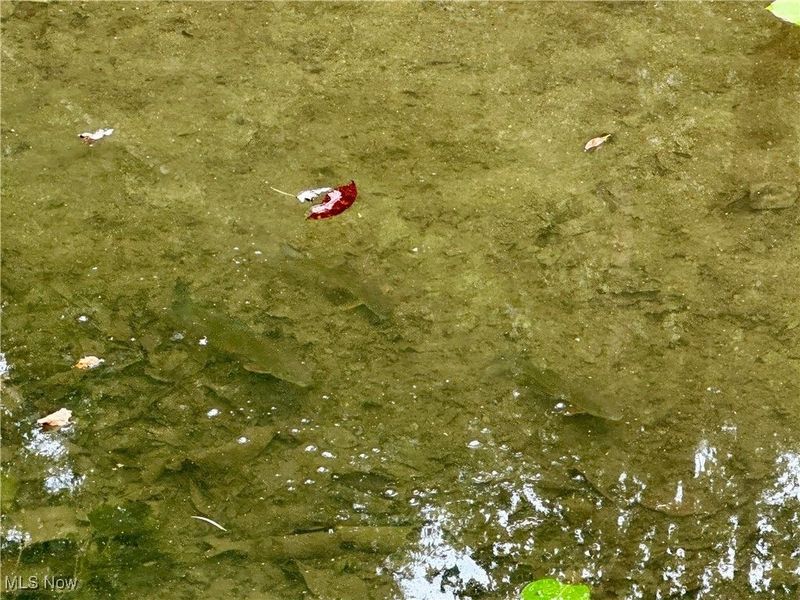 325 N Fork Road, New Matamoras, OH 45767 Photo 32