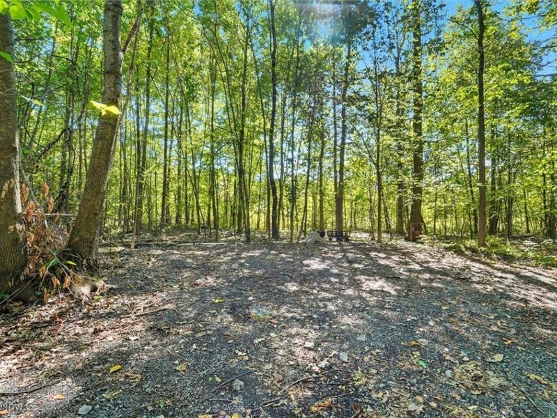 2924 Linton Road, Jefferson, OH 44047 Photo 17