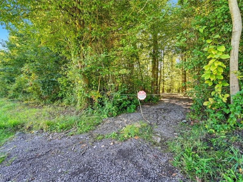 2924 Linton Road, Jefferson, OH 44047 Photo 18