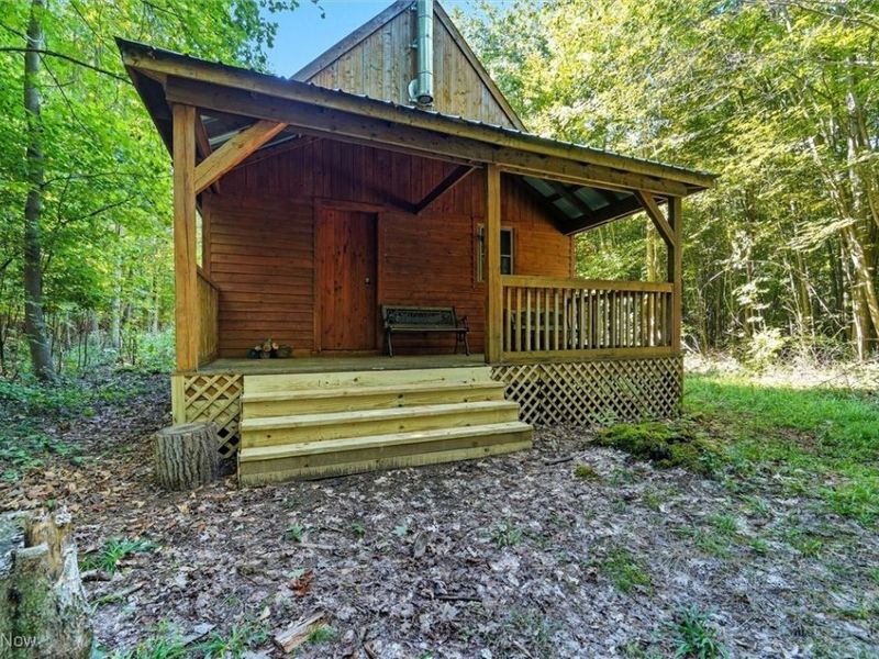 2924 Linton Road, Jefferson, OH 44047 Photo 4