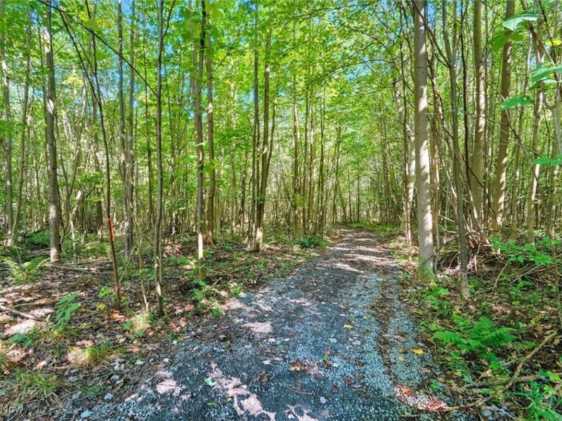 2924 Linton Road, Jefferson, OH 44047 Photo 5