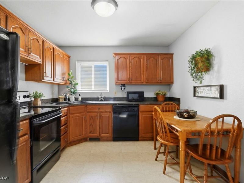 10832 Indian Hollow Road, Elyria, OH 44035 Photo 33