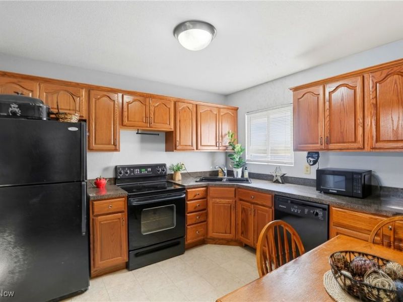 10832 Indian Hollow Road, Elyria, OH 44035 Photo 34