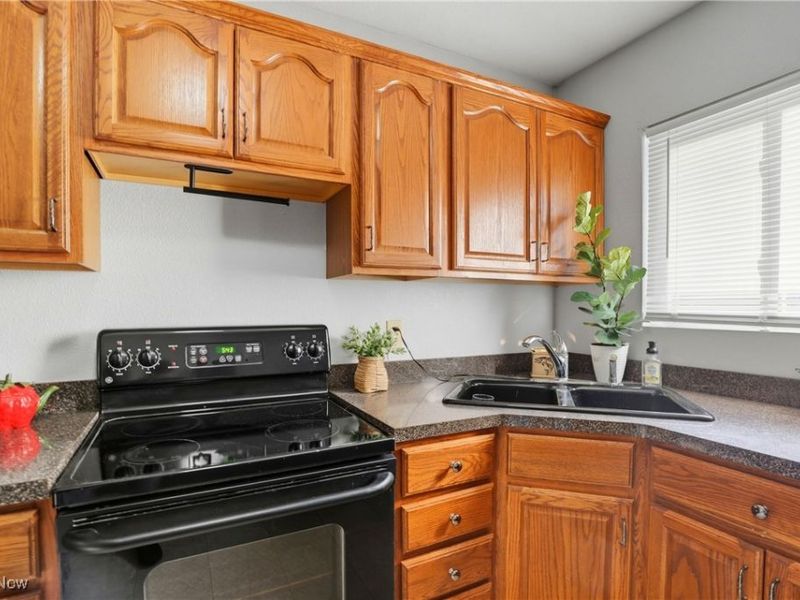 10832 Indian Hollow Road, Elyria, OH 44035 Photo 35