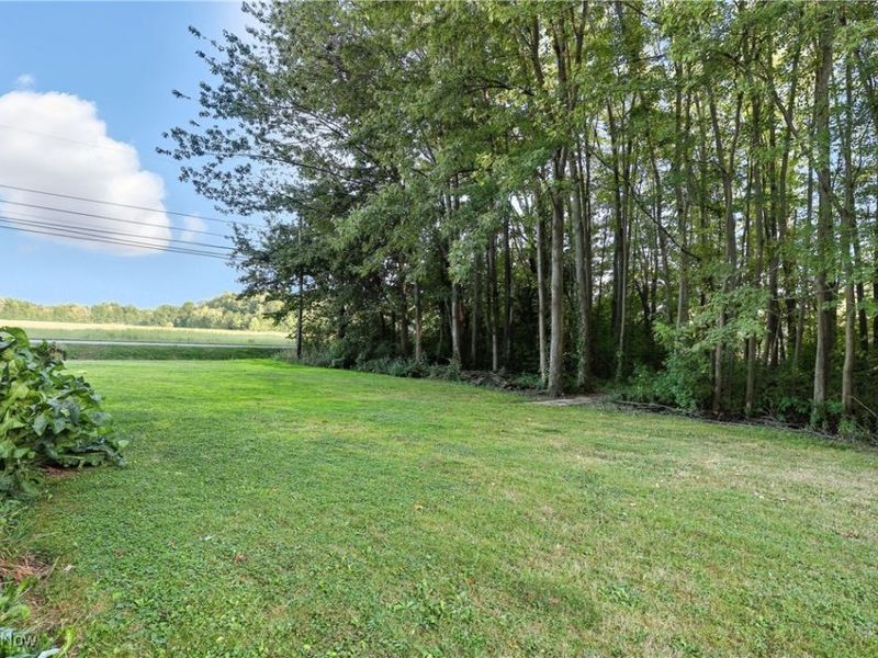 10832 Indian Hollow Road, Elyria, OH 44035 Photo 45