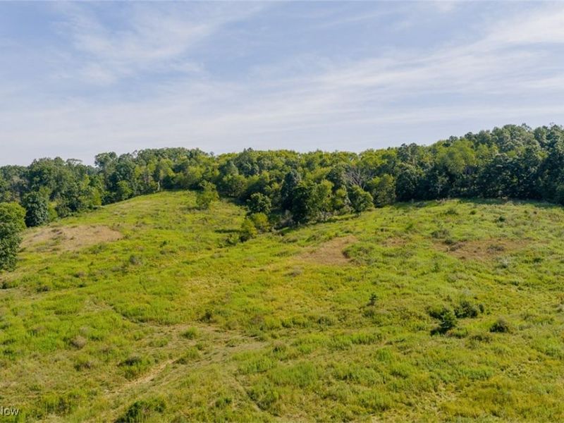 37420 Sr 151, Scio, OH 43988 Photo 12