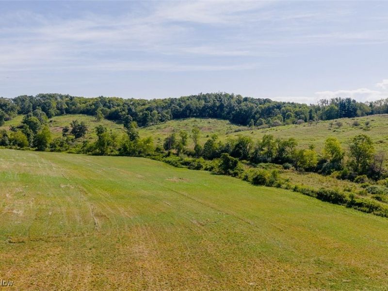 37420 Sr 151, Scio, OH 43988 Photo 13
