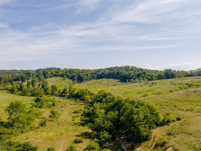 37420 Sr 151, Scio, OH 43988 Photo 14