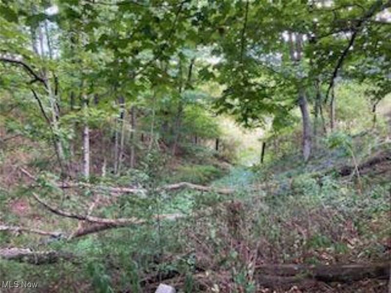 37420 Sr 151, Scio, OH 43988 Photo 19