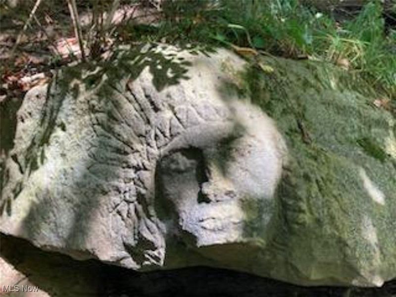 37420 Sr 151, Scio, OH 43988 Photo 21