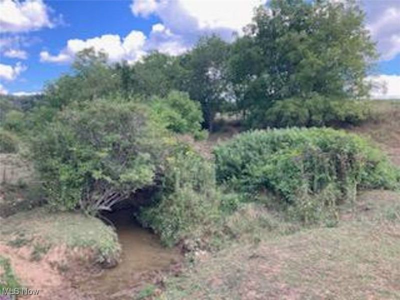 37420 Sr 151, Scio, OH 43988 Photo 25