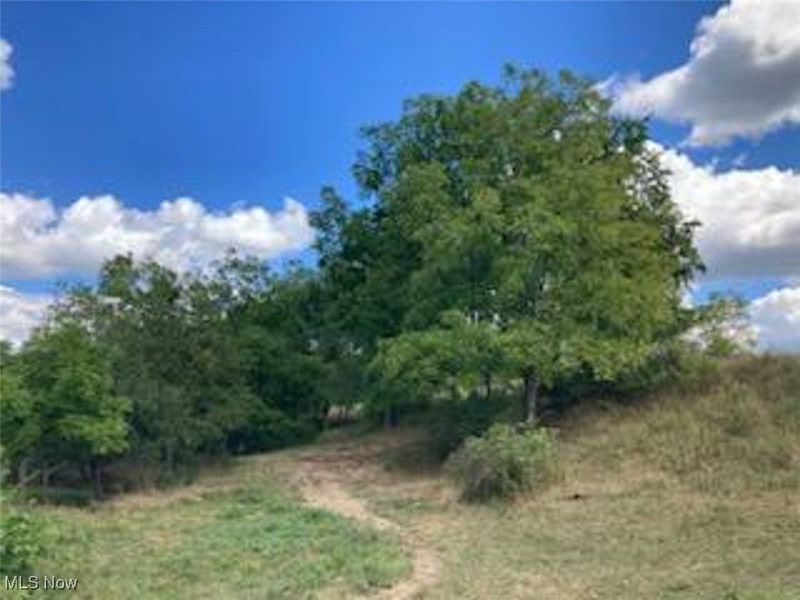 37420 Sr 151, Scio, OH 43988 Photo 26