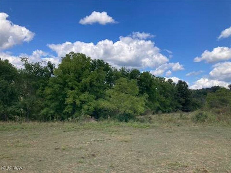 37420 Sr 151, Scio, OH 43988 Photo 28