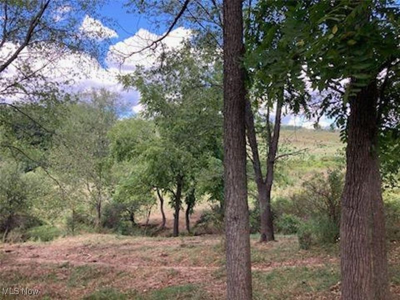 37420 Sr 151, Scio, OH 43988 Photo 30