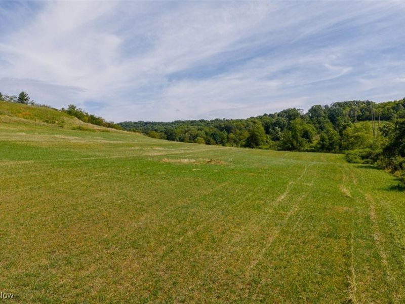 37420 Sr 151, Scio, OH 43988 Photo 6
