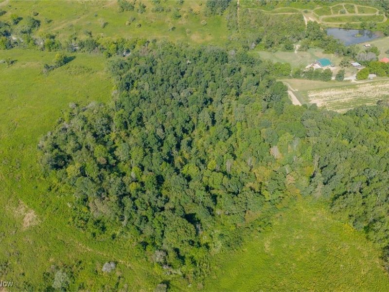 37420 Sr 151, Scio, OH 43988 Photo 9