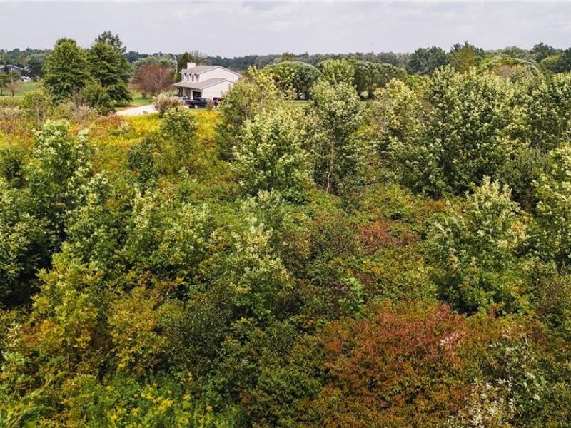 Township Road 581, Sullivan, OH 44880 Photo 12