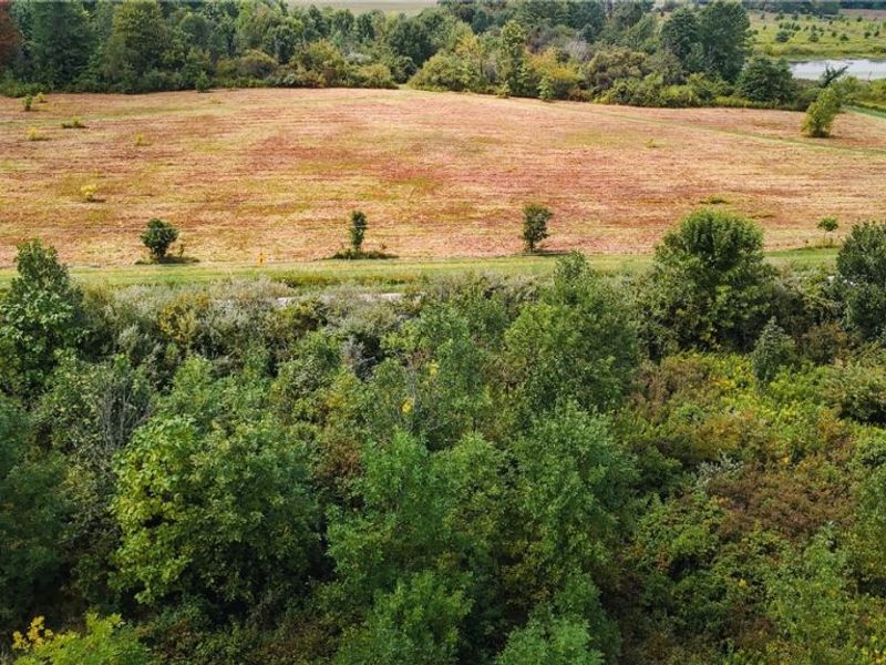 Township Road 581, Sullivan, OH 44880 Photo 14