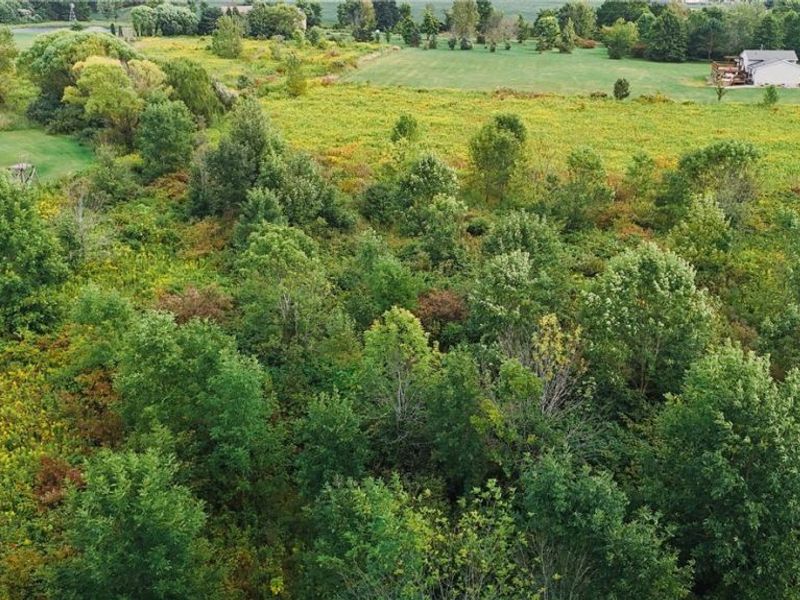 Township Road 581, Sullivan, OH 44880 Photo 17