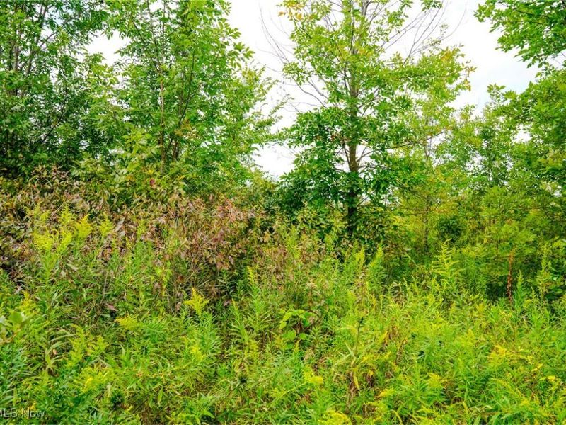 Township Road 581, Sullivan, OH 44880 Photo 25