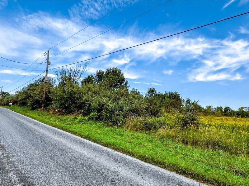 Township Road 581, Sullivan, OH 44880 Photo 26