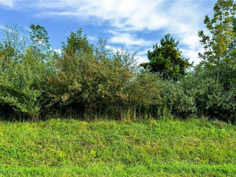 Township Road 581, Sullivan, OH 44880 Photo 27