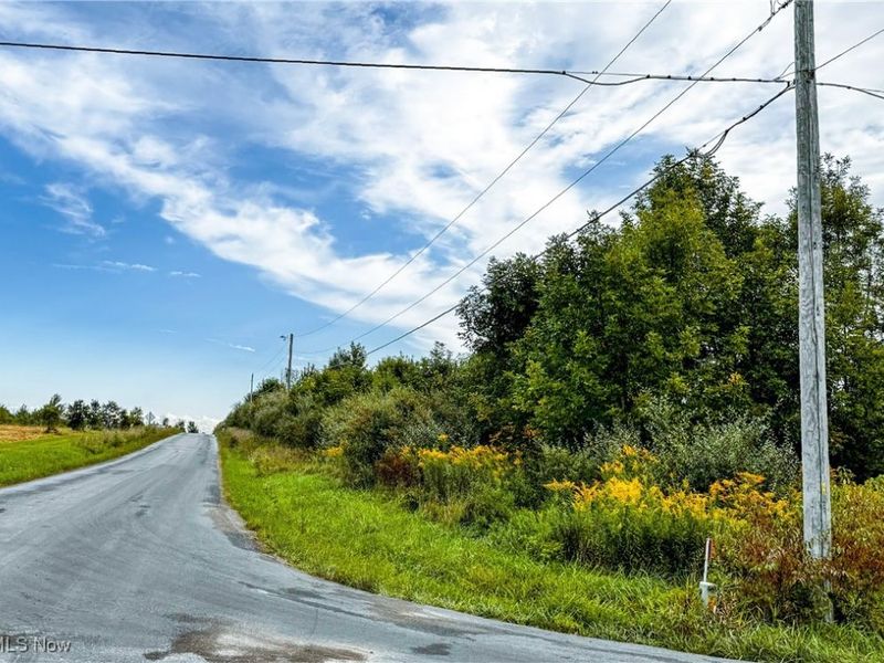 Township Road 581, Sullivan, OH 44880 Photo 29