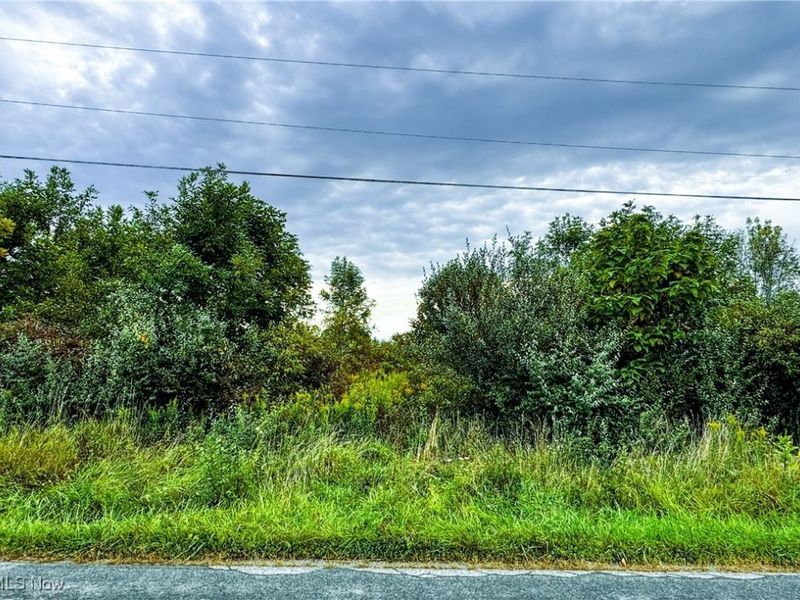 Township Road 581, Sullivan, OH 44880 Photo 3