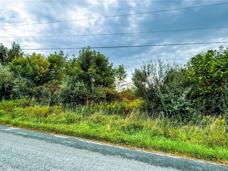 Township Road 581, Sullivan, OH 44880 Photo 4