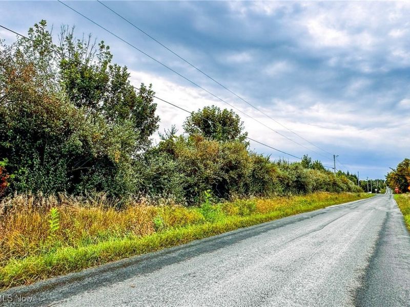 Township Road 581, Sullivan, OH 44880 Photo 5