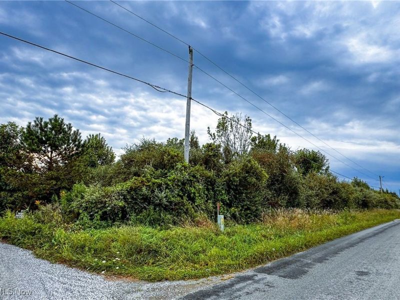 Township Road 581, Sullivan, OH 44880 Photo 7