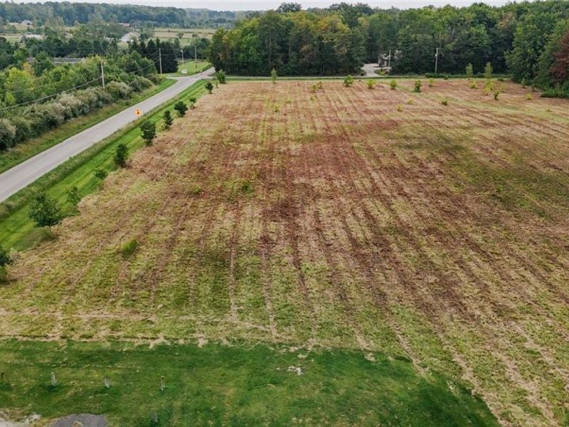 Township Road 581, Sullivan, OH 44880 Photo 8