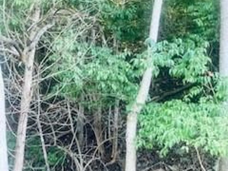 AC US Rt 52, Monroe Township, OH 45157 Photo 10