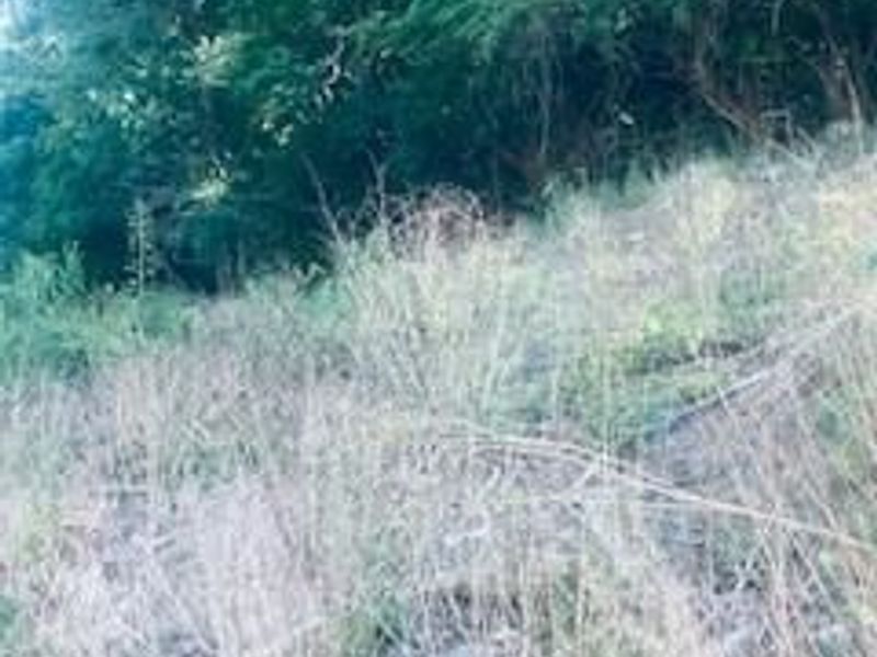 AC US Rt 52, Monroe Township, OH 45157 Photo 11