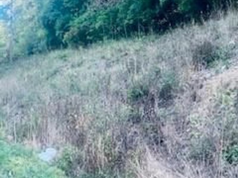 AC US Rt 52, Monroe Township, OH 45157 Photo 8