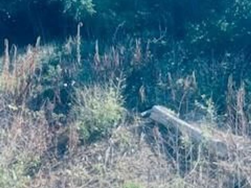 AC US Rt 52, Monroe Township, OH 45157 Photo 9