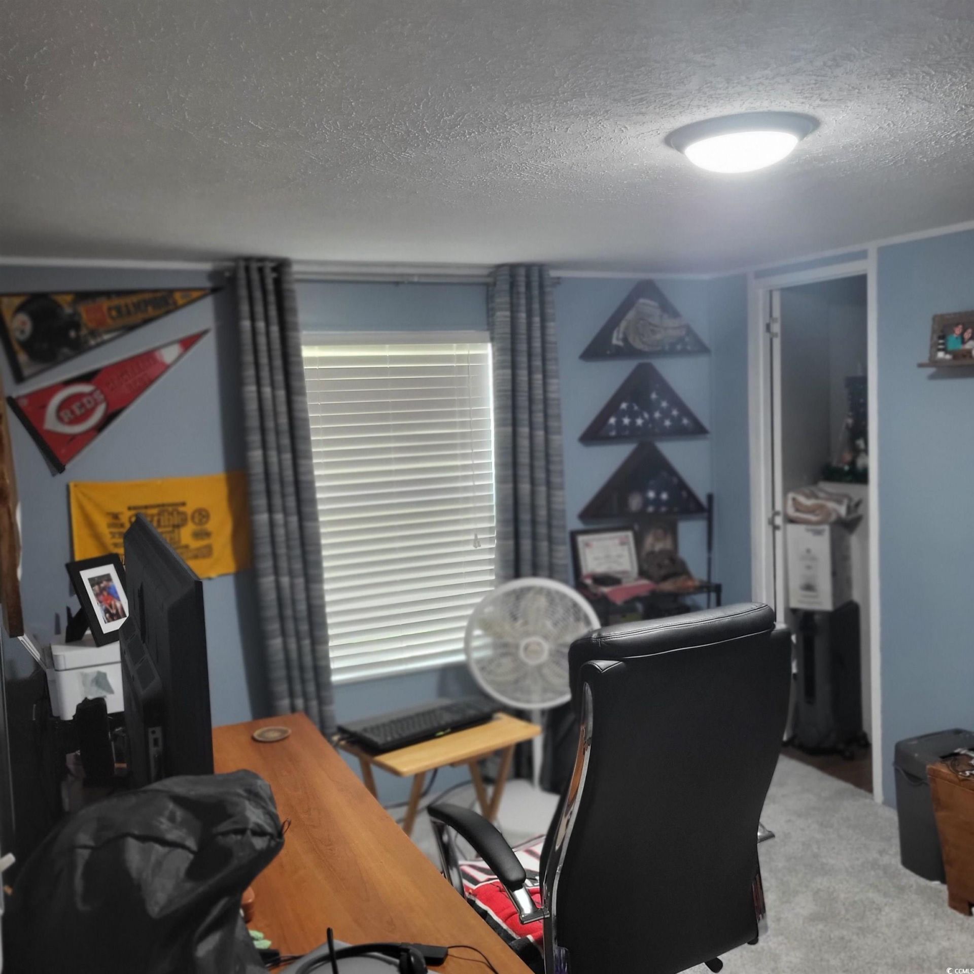 528 Folly Estates Dr. Photo 32