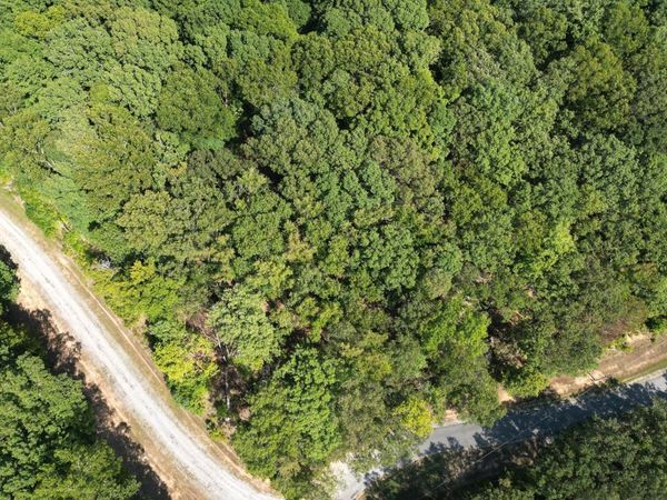 313 Logger Lane, Cedar Grove, TN 38321