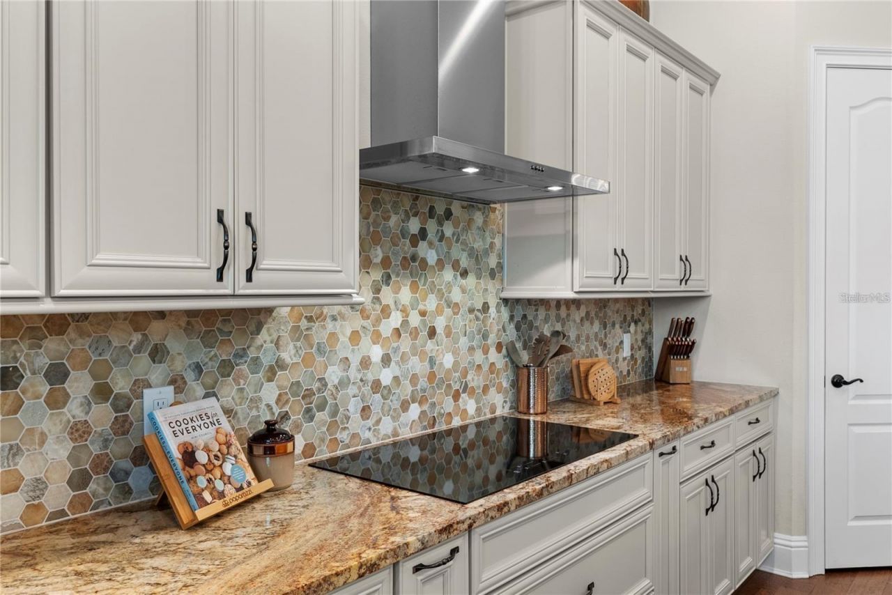 12405 Stonelake Ranch Blvd, Thonotosassa, FL 33592 Photo