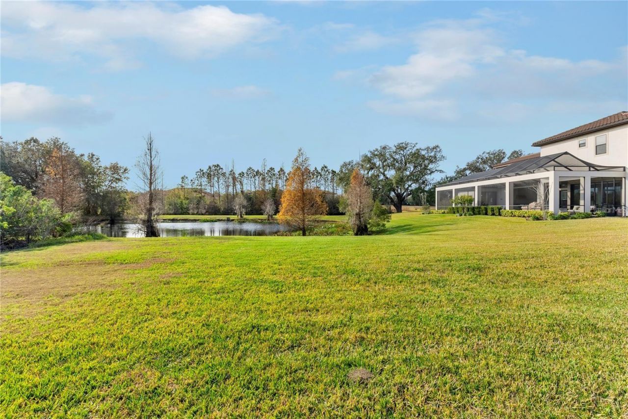 12405 Stonelake Ranch Blvd, Thonotosassa, FL 33592 Photo
