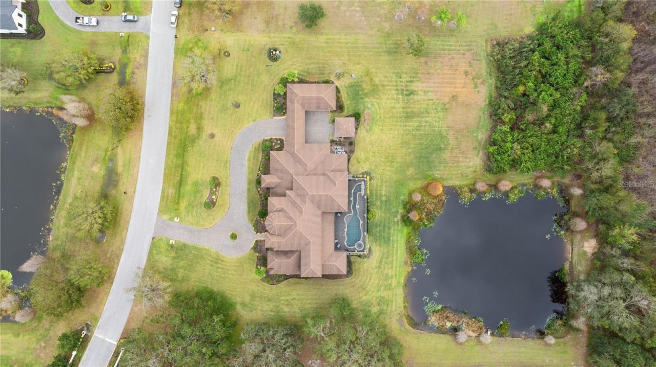 12405 Stonelake Ranch Blvd, Thonotosassa, FL 33592 Photo