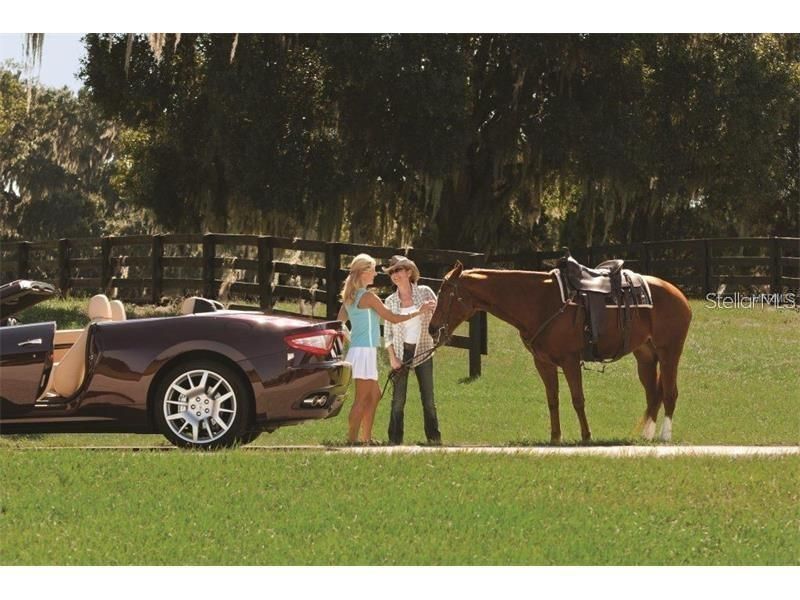 12405 Stonelake Ranch Blvd, Thonotosassa, FL 33592 Photo