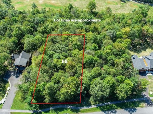 65 SUNDANCE WAY, MC HENRY, MD 21541