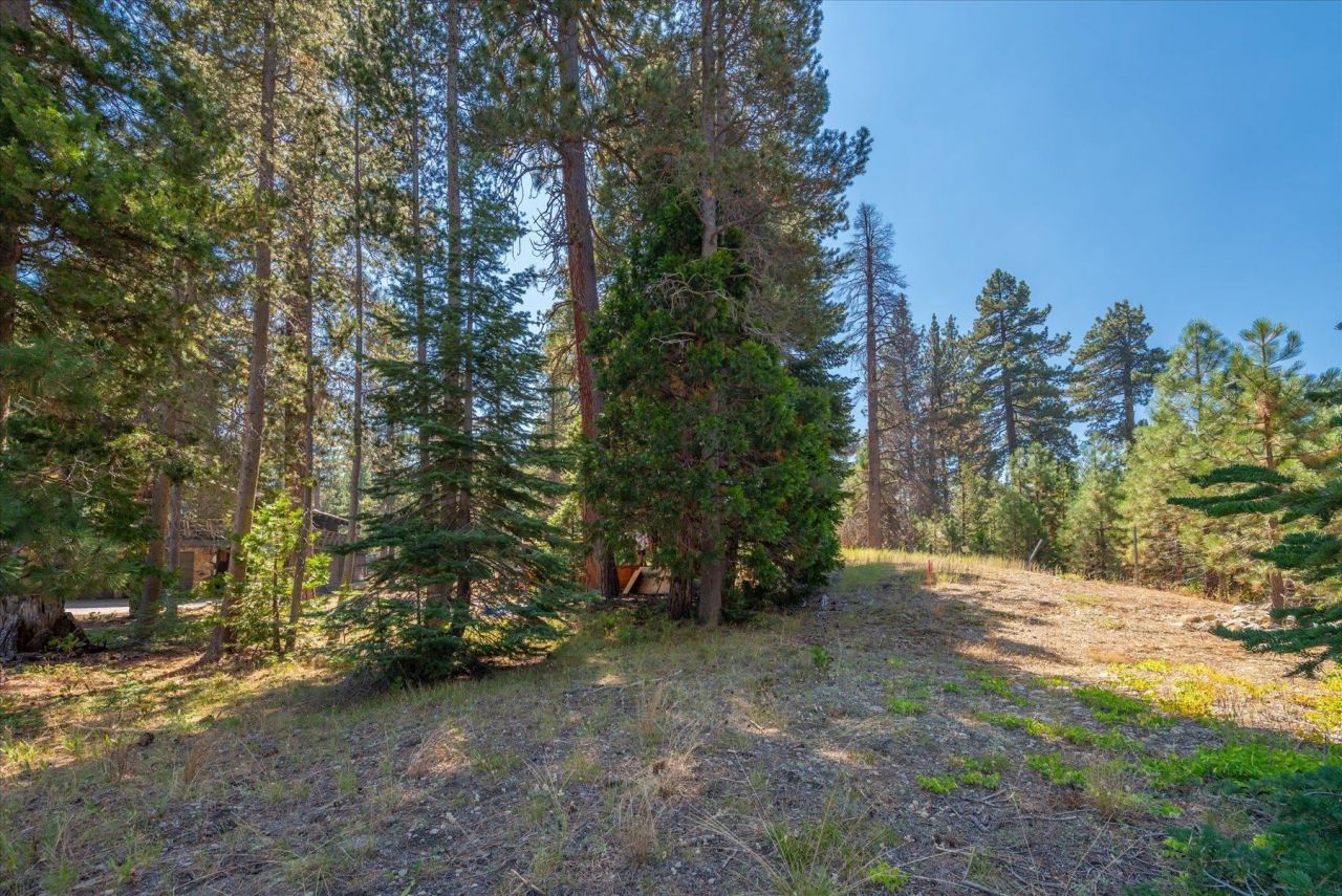 6705 West Lake Boulevard, Tahoma, CA 96142 Photo