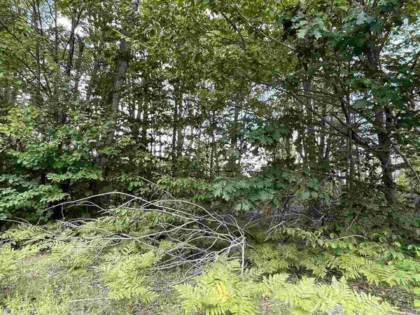 6167 Lambert Dr, Alanson, MI 49706