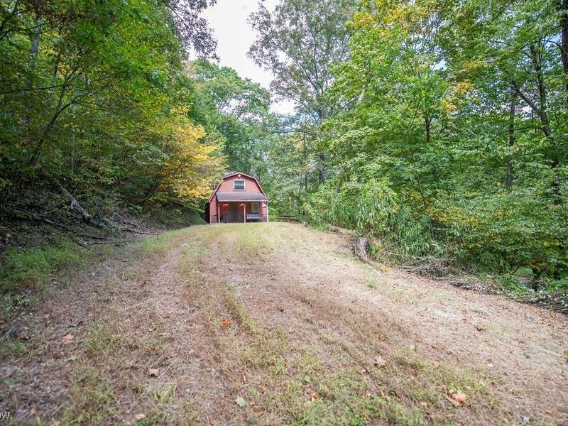 868 Township Road 278, Bergholz, OH 43908 Photo 2